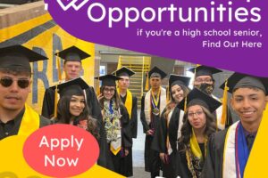 Purple Yellow Scholarship Post