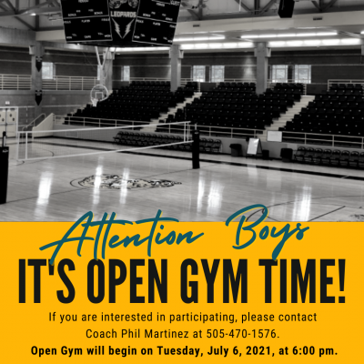 Open Gym for Boys